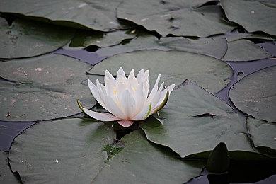 《威尼斯惊魂夜》内地定档 9月15日全国上映